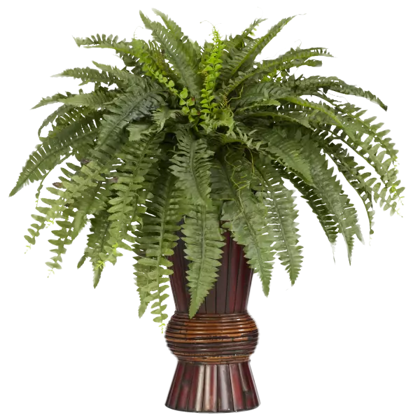 bamboo silk green leaf vine plant