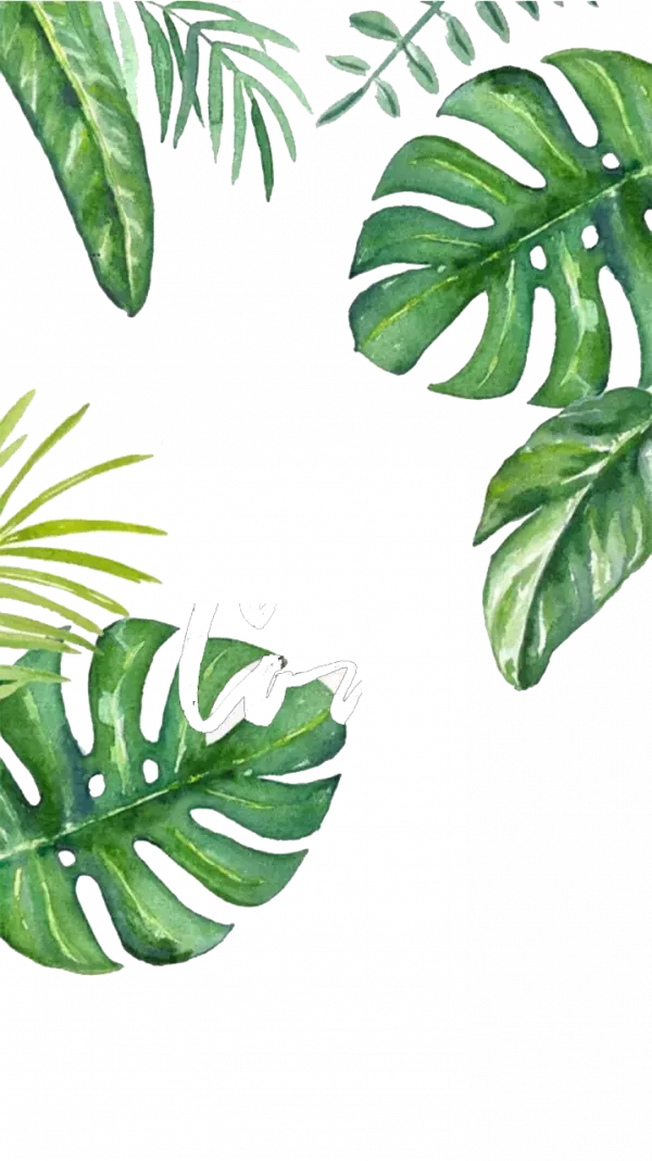 banana leaf hand painted turtle bamboo illustration