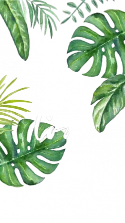 banana leaf hand painted turtle bamboo illustration