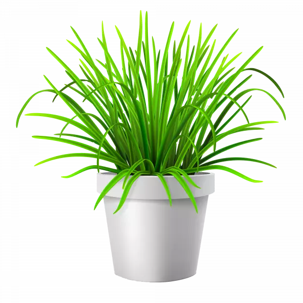 flowerpot lawn vase pot illustration