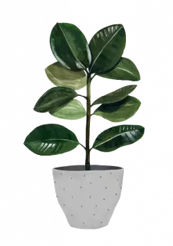 green leaf plant in vase pot painting