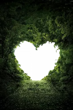 heart shape nature valentines day photo frame
