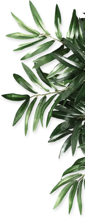 leaf shape cutting in dark green