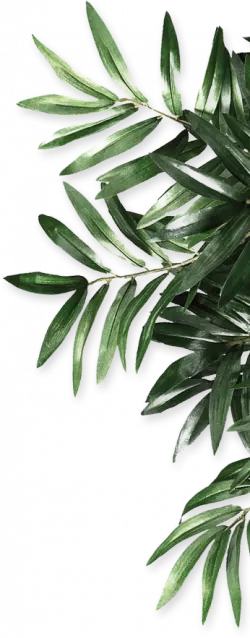 leaf shape cutting in dark green