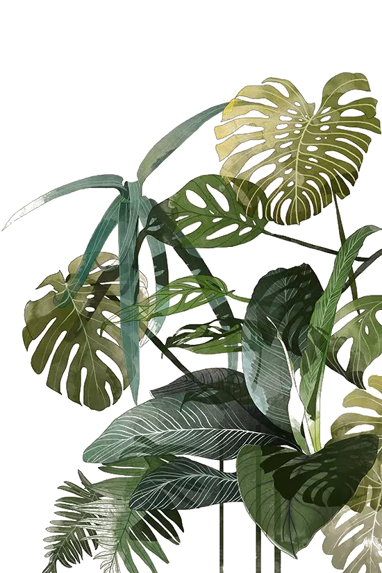 palm leaf botanical illustration drawing texture