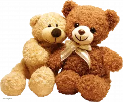two baby bear dolls sitting in dark color