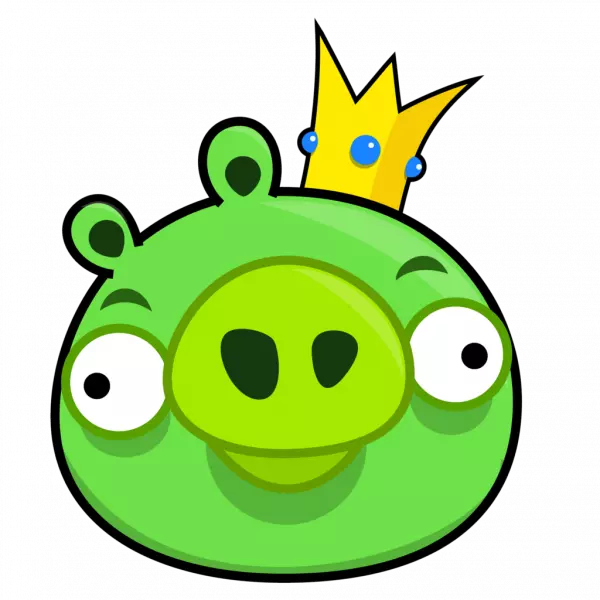 angry birds funny green pig face