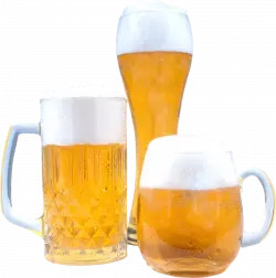 beer in different glasses