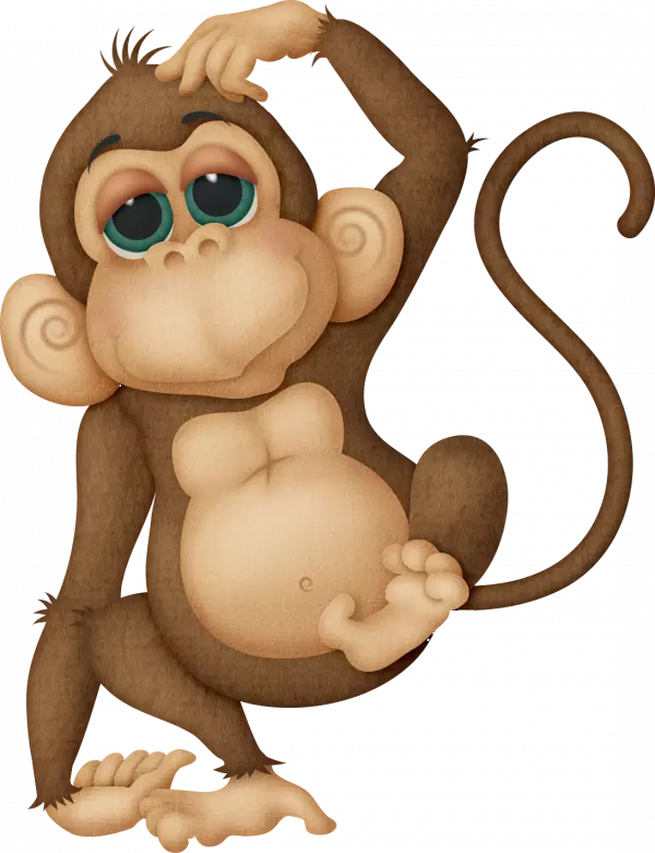 cute little monkey illustration