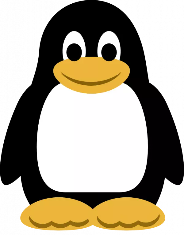 cute little penguin kid