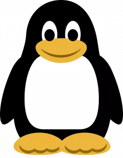 cute little penguin kid