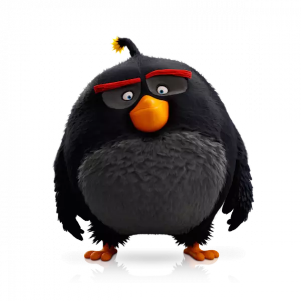 evolution angry birds  action epic birds penguin