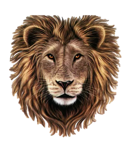 lion head dark artwork