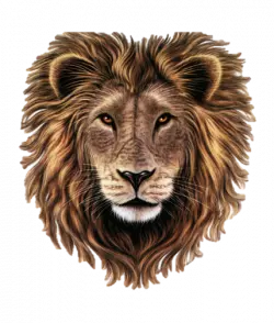 lion head dark artwork