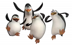 madagascar penguins funny face