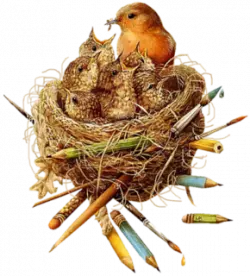 mother bird and kids in nest