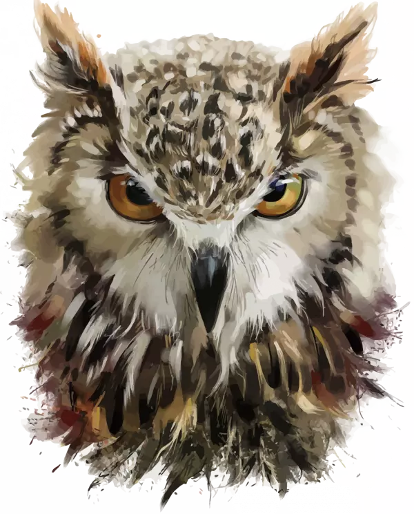 owl head illustration