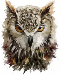 owl head illustration