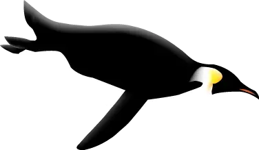 penguin swim downwards