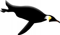 penguin swim downwards