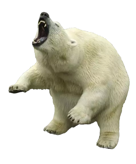 polar bear angry vector clipart