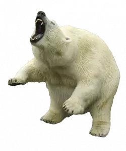 polar bear angry vector clipart