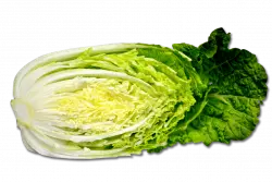 sliced cabbage transparent png