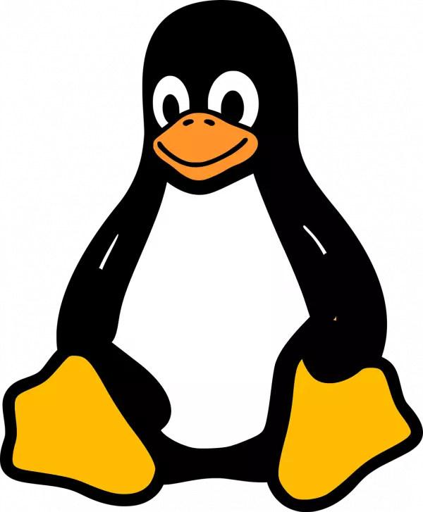 tux kernel racer linux penguin