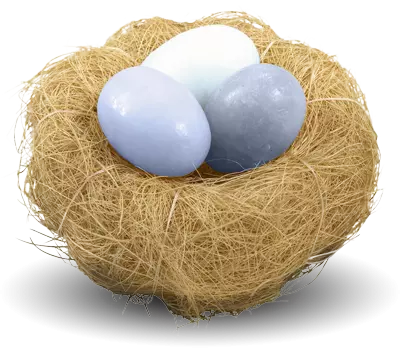 white eggs in brown nest