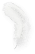 white feather decorative transparent png
