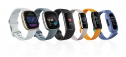 faitbit smartwatch products family