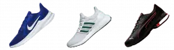 3 shoes aligned horizontally transparent png