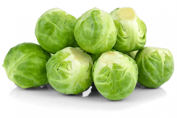 group of cabbages leaf vegetable, bunch of cabbages, leaf vegetables