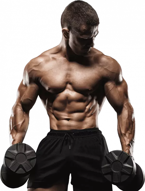 men bodybuilding and fitness, men physical fitness, gym men fitness free png