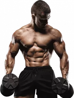 men bodybuilding and fitness, men physical fitness, gym men fitness free png