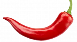 Red chili, Serrano pepper Chili pepper Hot Sauce Tabasco pepper Scoville Unit, green chilli, natural foods, free png