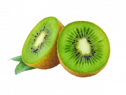 Smoothie Kiwi fruit, Hardy kiwi Lime, Kiwi cut fruit, natural foods, fruit food free png