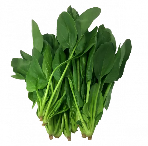 spinach komatsuna leaf vegetable, collard greens, leaf vegetables, green leaf egetable, free png