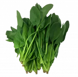 spinach komatsuna leaf vegetable, collard greens, leaf vegetables, green leaf egetable, free png