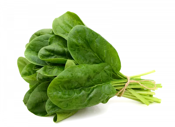 spinach leaf vegetable, leaf vegetables, green leaf vegetable, spinach leaf free png