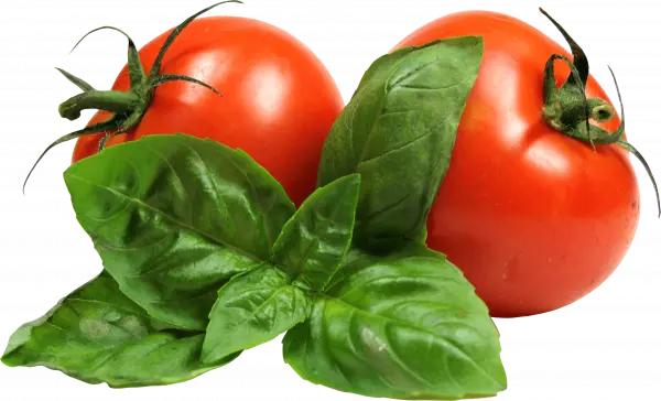 Two tomatoes, Cherry tomato, Tomato, natural foods, leaf vegetable free png
