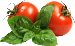 Two tomatoes, Cherry tomato, Tomato, natural foods, leaf vegetable free png
