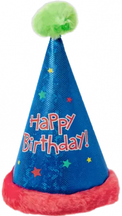 Birthday cap, Birthday party hat blue and pink color, birthday wear