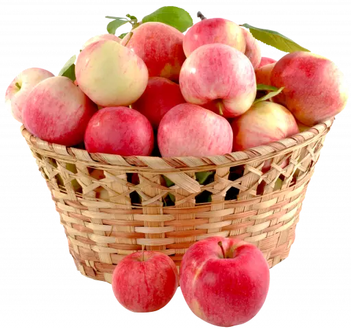 apple in basket, group of apple in a basket free png
