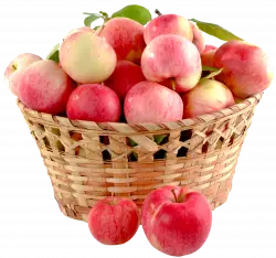 apple in basket, group of apple in a basket free png