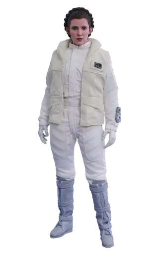 Leia Princess free transparent png image