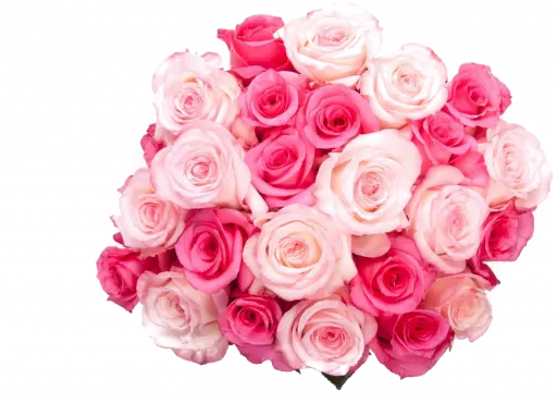 Pink rose flower bunch, pink rose flowers, bunch of flowers