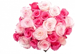 Pink rose flower bunch, pink rose flowers, bunch of flowers