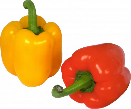 sweet pepper bell vegetable orange and red