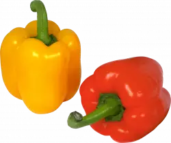 sweet pepper bell vegetable orange and red